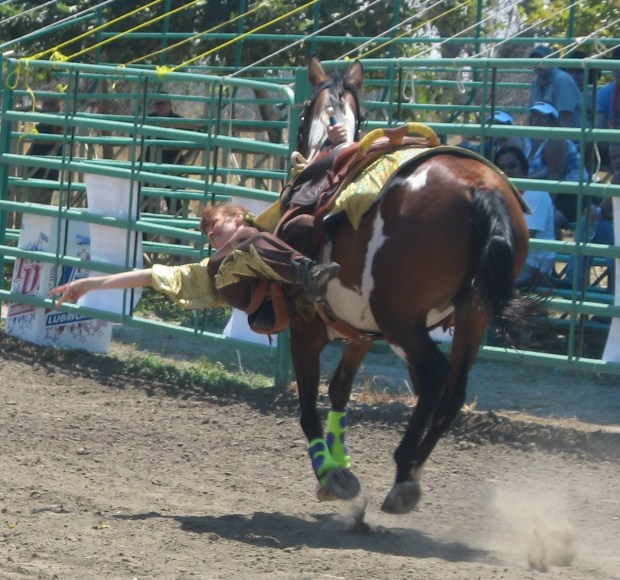 janmendozafender2008